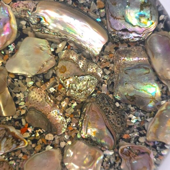 Vintage Abalone Shell Trivet Hot Plate Betty's Shells California Lucite MCM - Picture 3 of 8